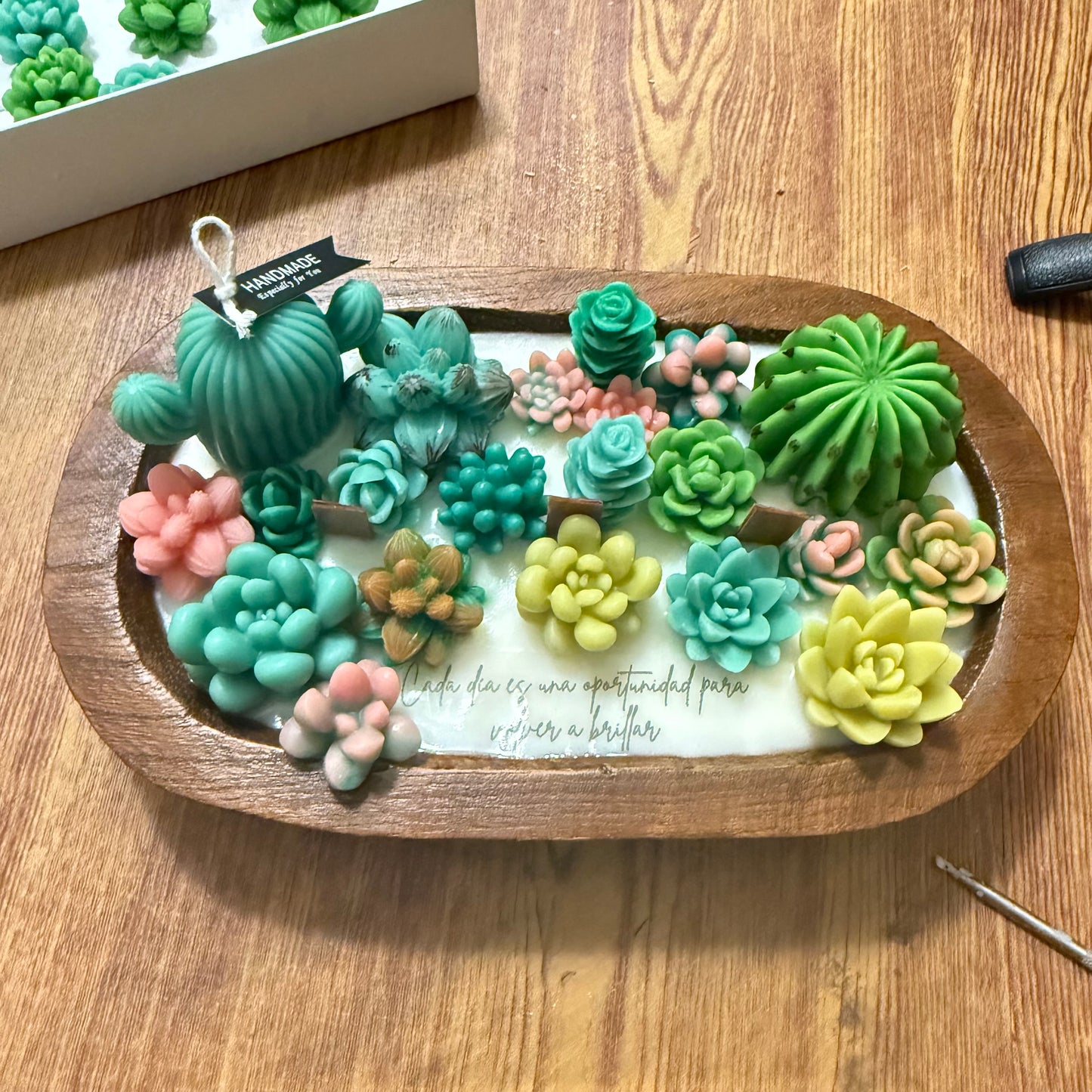 Terrario en cuenco de madera