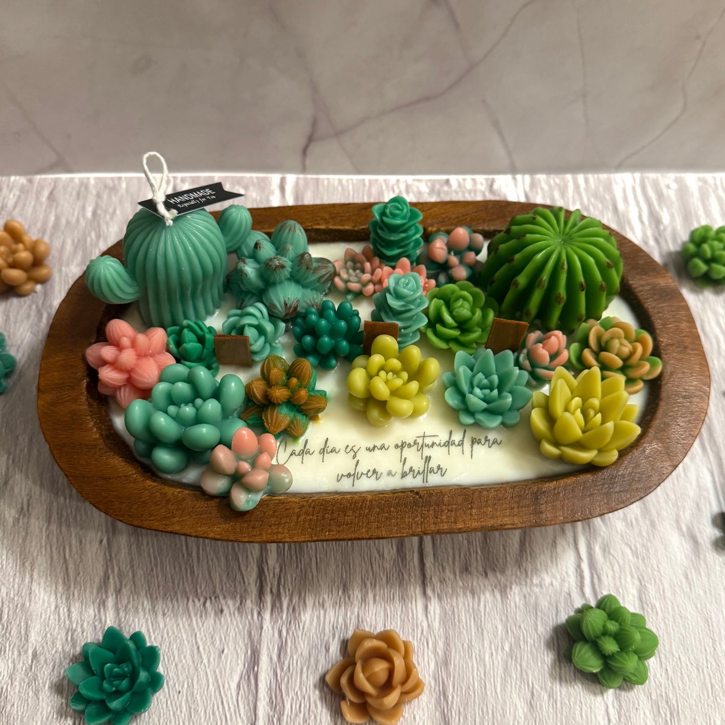 Terrario en cuenco de madera