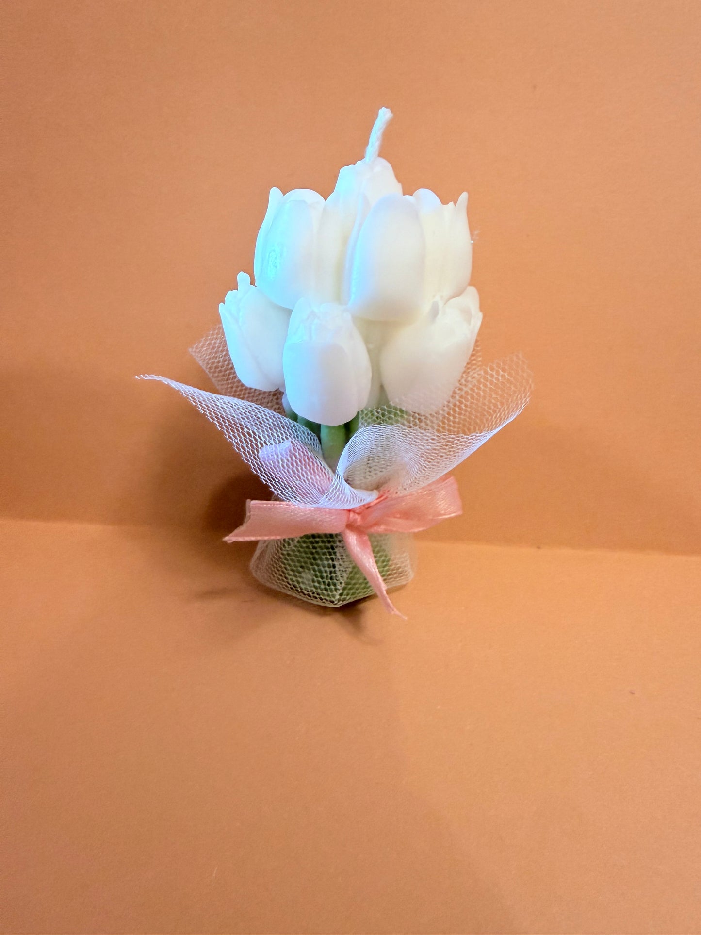 Velitas tulipan