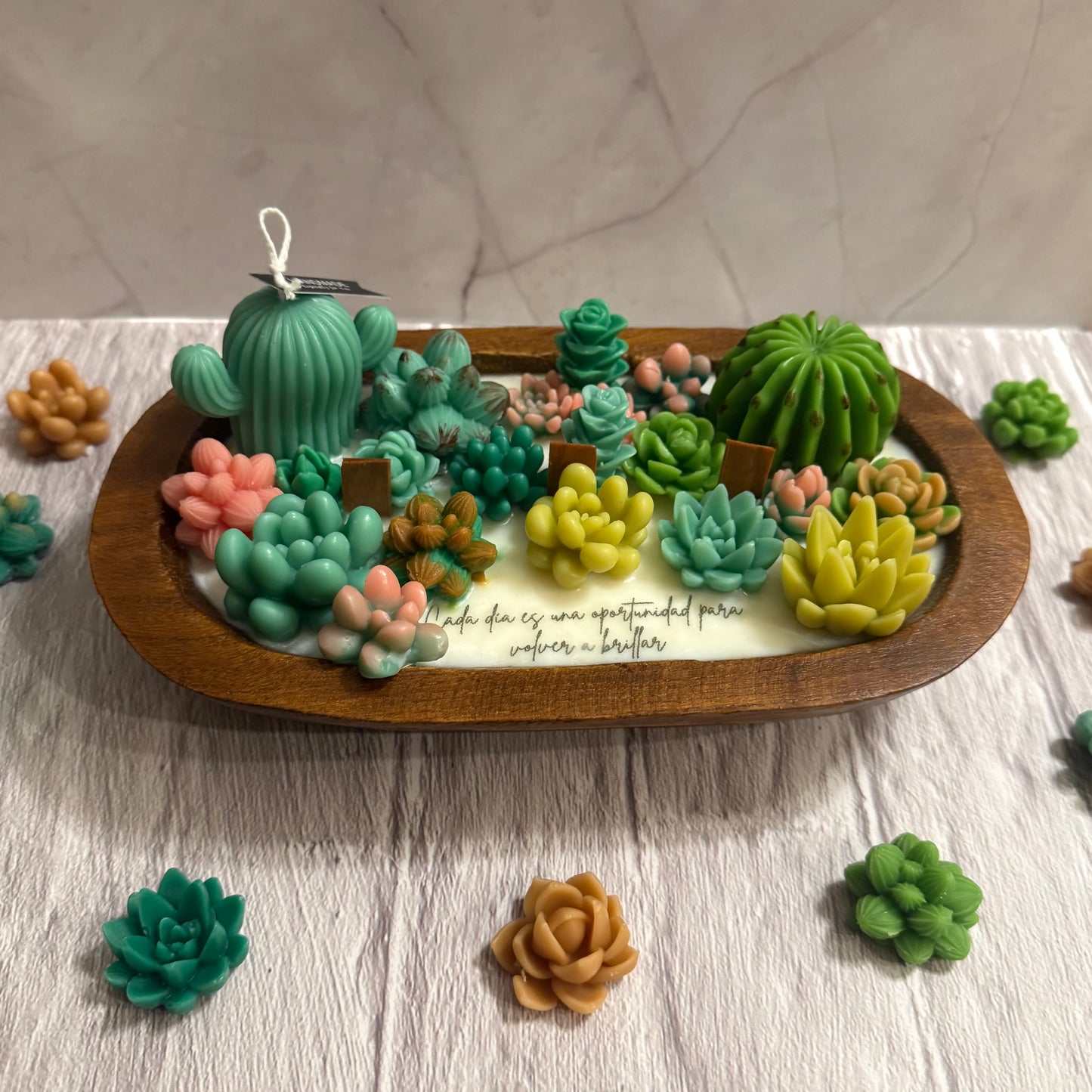 Terrario en cuenco de madera
