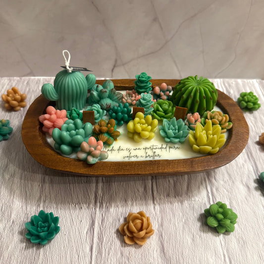 Terrario en cuenco de madera