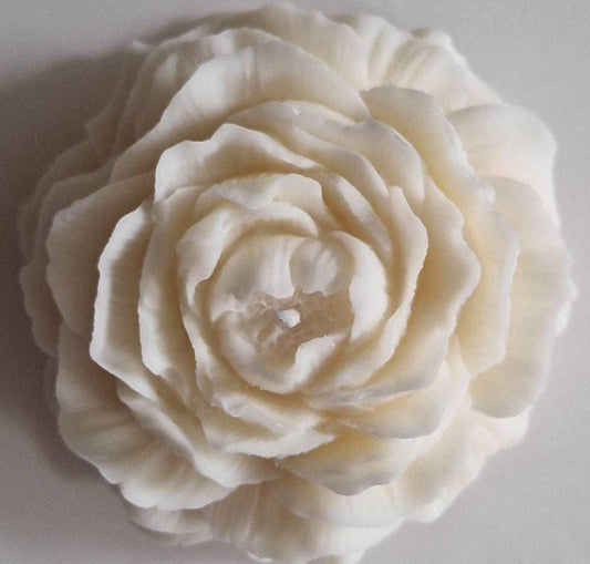 Peonia Xl