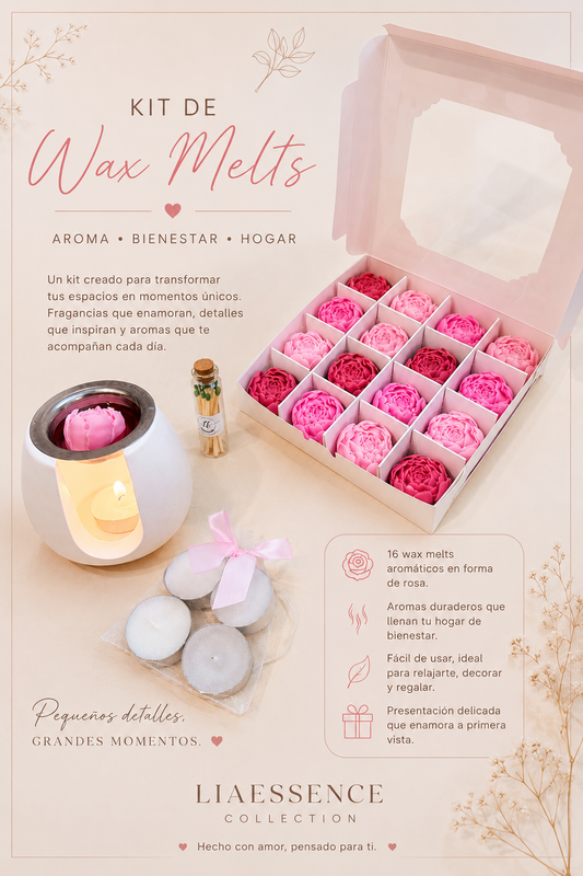 Kit de wax melts